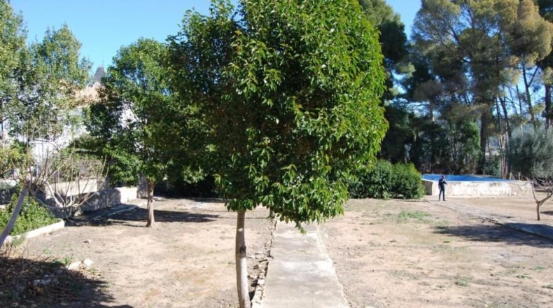 Castellón - Navajas - 4642m2