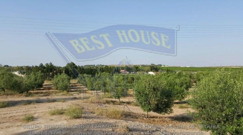 Murcia - Las Torres de Cotillas - 45500m2
