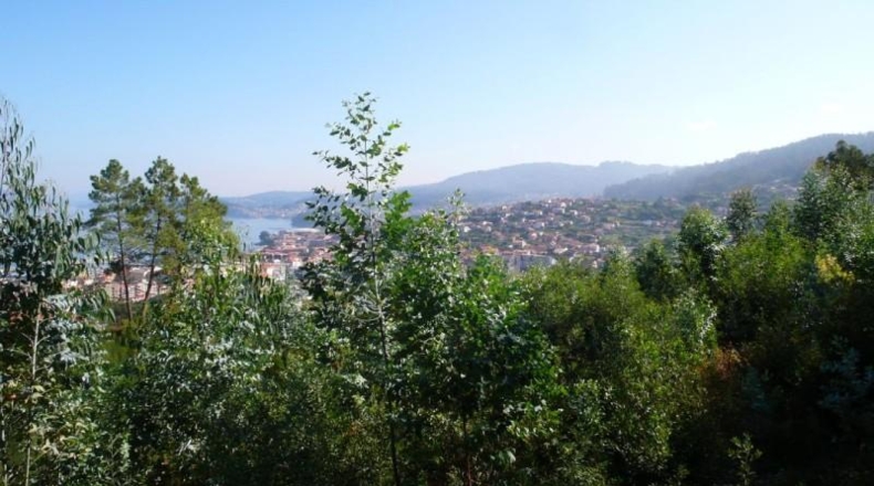Pontevedra - Bueu - 32815m2
