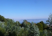 Non-developable land for sale on España, Bueu, ref: TR114625 photo