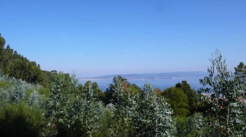 Pontevedra - Bueu - 32815m2