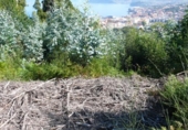 Non-developable land for sale on España, Bueu, ref: TR114625 photo