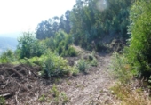 Non-developable land for sale on España, Bueu, ref: TR114625 photo
