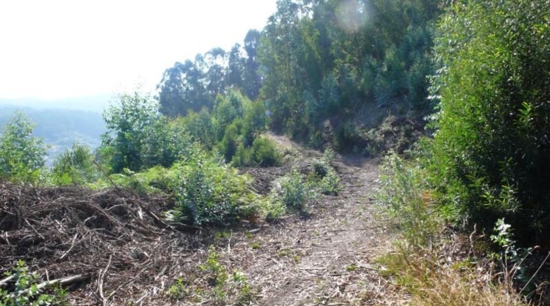 Pontevedra - Bueu - 32815m2