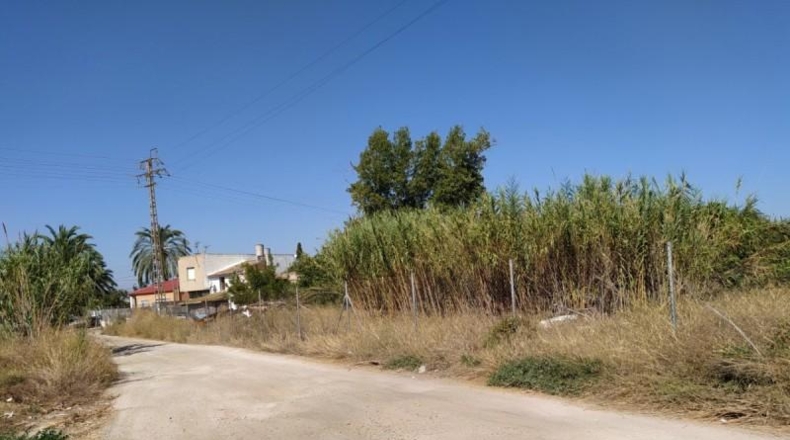 Múrcia - Murcia - 3072m2