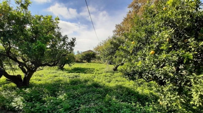Murcia - Lorca - 13500m2