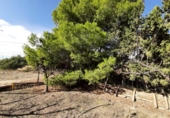 Casa de camp amb terreny en venda a la España, Lorca, ref.: TR151915 foto