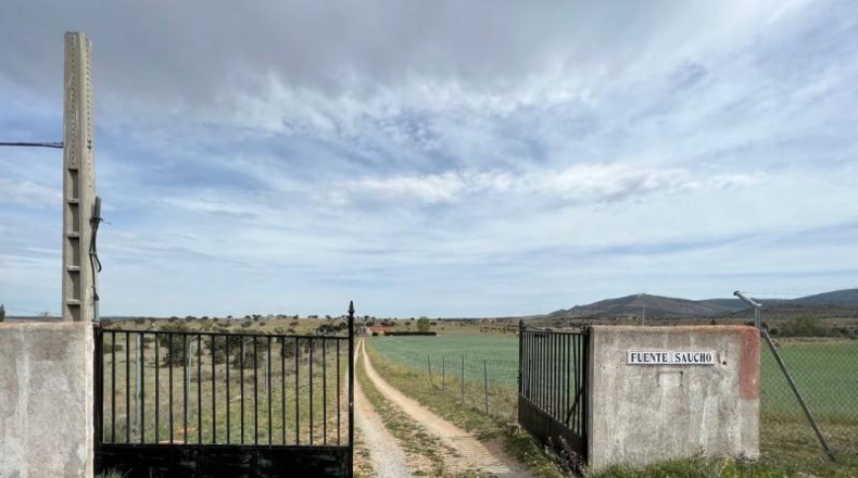 Ávila - Ávila - 40000m2