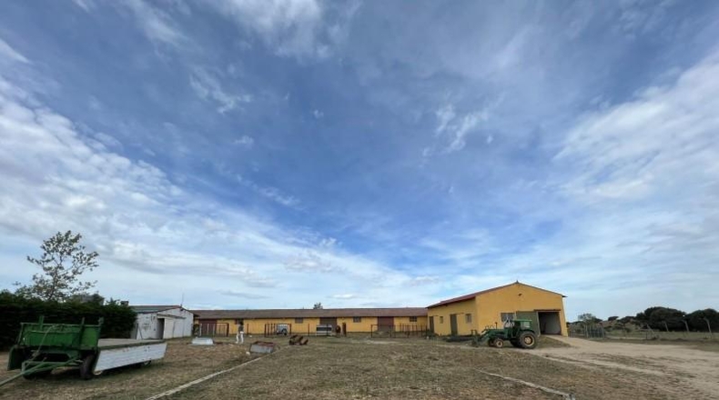 Ávila - Ávila - 40000m2