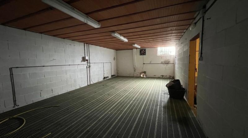 Ávila - Ávila - 40000m2