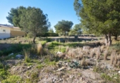 Non-developable land for sale on España, La Nucia, ref: TR131123 photo