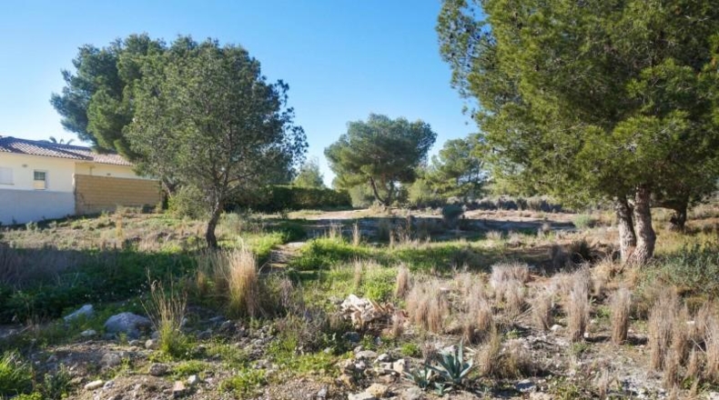 Malaga - Ronda - 10000m2