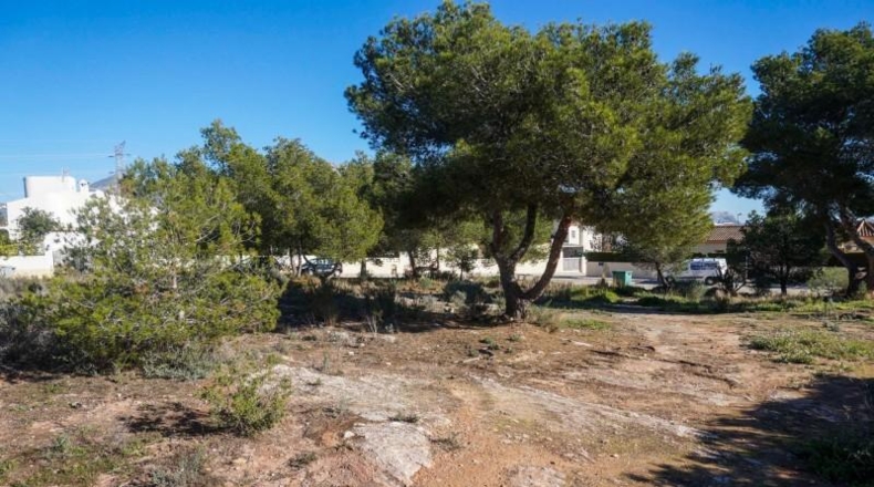 Malaga - Ronda - 10000m2