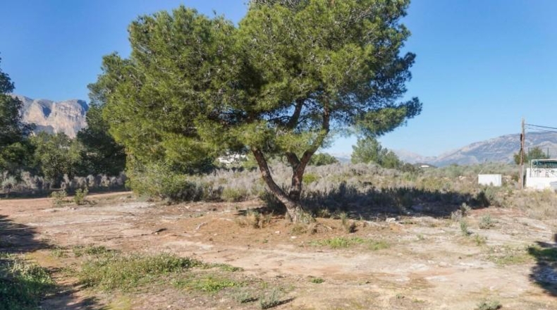 Malaga - Ronda - 10000m2