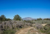 Non-developable land for sale on España, La Nucia, ref: TR131123 photo