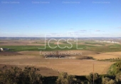 Non-developable land for sale on España, Valencina de la Concepción, ref: TR131780 photo