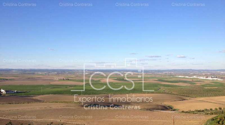 Sevilla - Valencina de la Concepción - 175000m2
