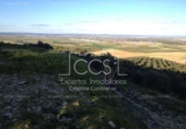 Non-developable land for sale on España, Valencina de la Concepción, ref: TR131780 photo