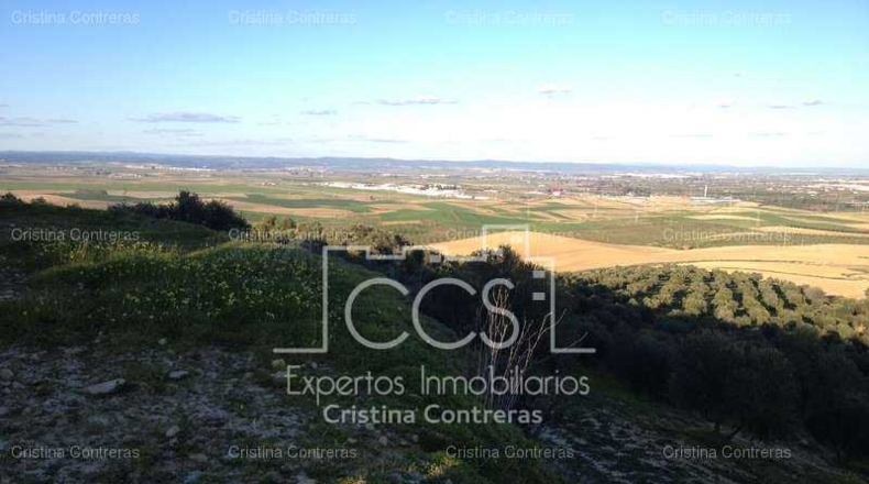 Sevilla - Valencina de la Concepción - 175000m2