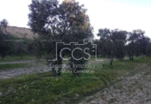 Non-developable land for sale on España, Valencina de la Concepción, ref: TR131780 photo
