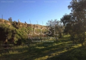 Non-developable land for sale on España, Valencina de la Concepción, ref: TR131780 photo