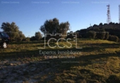 Non-developable land for sale on España, Valencina de la Concepción, ref: TR131780 photo