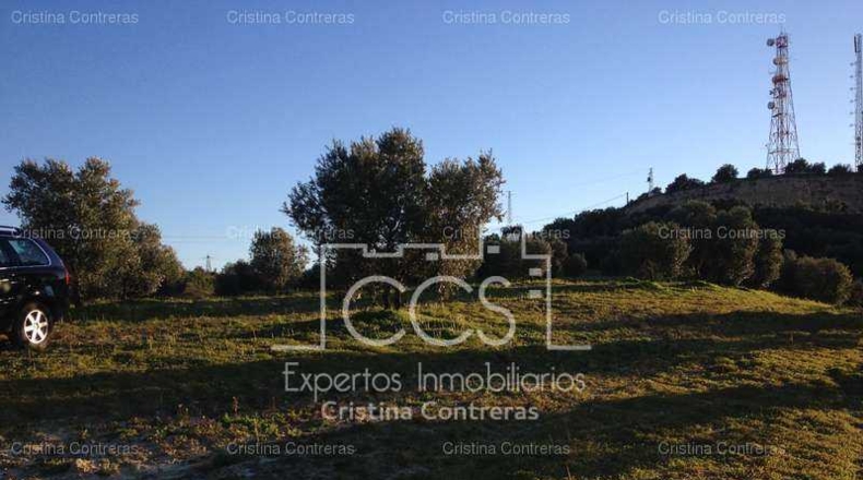 Sevilla - Valencina de la Concepción - 175000m2