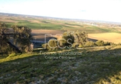 Non-developable land for sale on España, Valencina de la Concepción, ref: TR131780 photo
