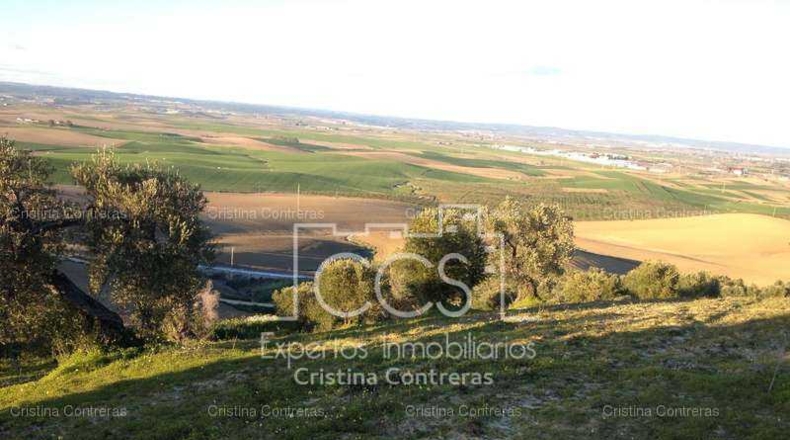 Sevilla - Valencina de la Concepción - 175000m2