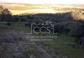 Non-developable land for sale on España, Valencina de la Concepción, ref: TR131780 photo