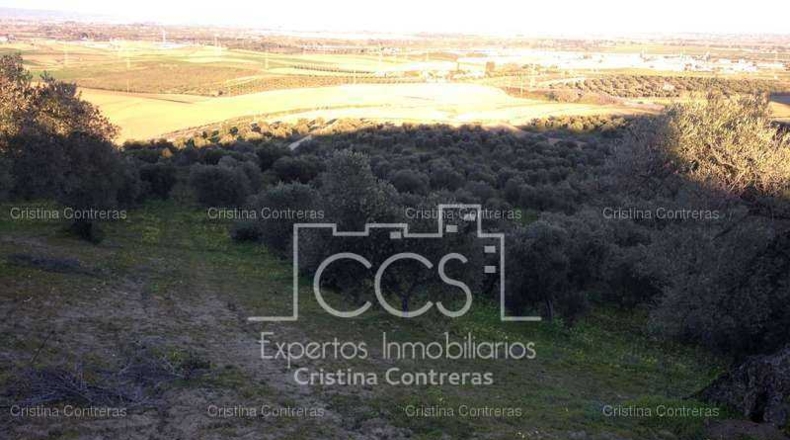 Sevilla - Valencina de la Concepción - 175000m2