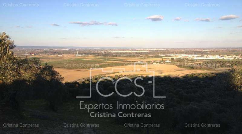 Sevilla - Valencina de la Concepción - 175000m2
