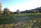 Non-developable land for sale on España, Valencina de la Concepción, ref: TR131780 photo