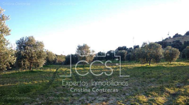 Sevilla - Valencina de la Concepción - 175000m2