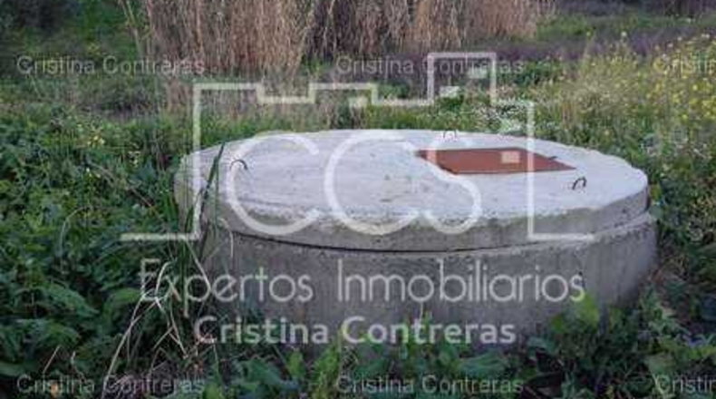 Sevilla - Valencina de la Concepción - 175000m2
