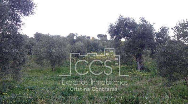 Sevilla - Valencina de la Concepción - 175000m2