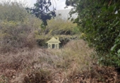 Casa de campo con terreno en venta en la España, El Tanque, ref: TR158329 foto