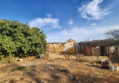 Parcel·la urbanitzable en venda a la España, El Viso del Alcor, ref.: TR167918 foto