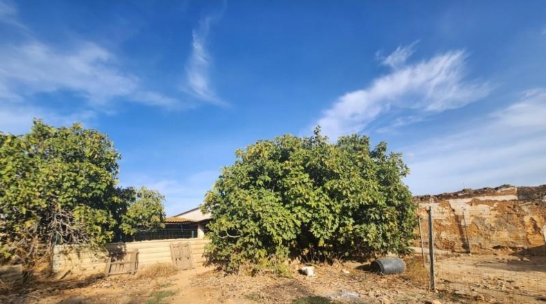 Sevilla - El Viso del Alcor - 2313m2