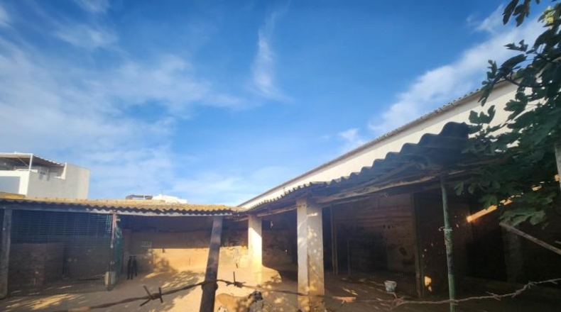 Sevilla - El Viso del Alcor - 2313m2