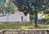 Xalet independent amb terreny en venda a la España, Vilar, ref.: TR168051 foto