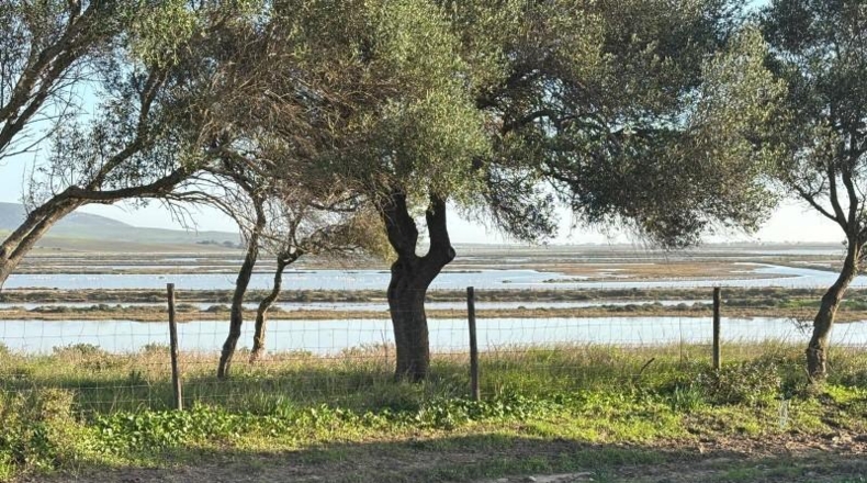 Cadiz - Barbate - 36000m2