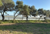 Terreny no urbanitzable en venda a la España, Barbate, ref.: TR177955 foto