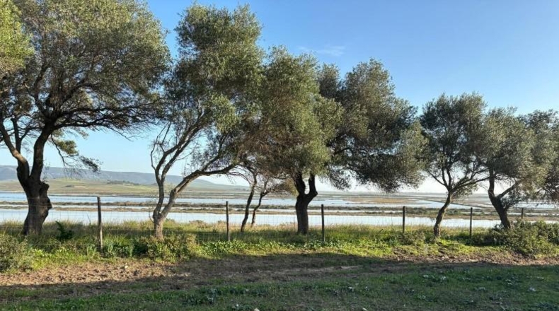 Cadiz - Barbate - 36000m2