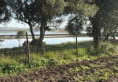 Terreny no urbanitzable en venda a la España, Barbate, ref.: TR177955 foto