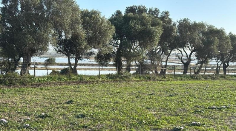 Cadiz - Barbate - 36000m2