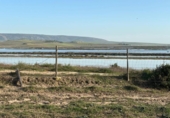 Terreny no urbanitzable en venda a la España, Barbate, ref.: TR177955 foto