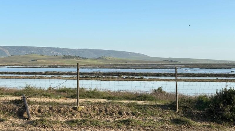 Cadiz - Barbate - 36000m2