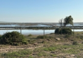 Terreny no urbanitzable en venda a la España, Barbate, ref.: TR177955 foto