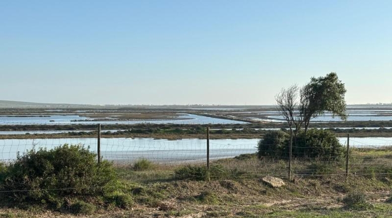 Cadiz - Barbate - 36000m2